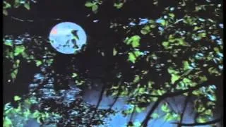 Bloodmoon Trailer 1990