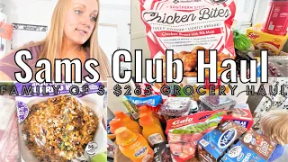 GROCERY HAUL JULY 2021| Family Of 5|What We Bought|Sams Club|Mobile Home Living