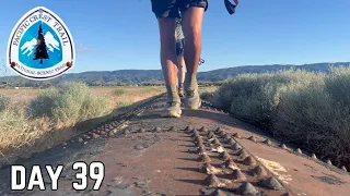 Day 39 | The Walk of The Aqueduct | Pacific Crest Trail Thru Hike