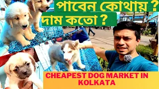 Galiff Street Pet Market | Kolkata Pet Market Dog Price