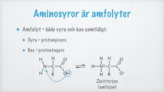 Aminosyror