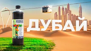 Дубай будет зеленым? Новый вид транспорта | Сообщество SWC