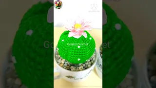 Step by step 🌵Crochet Cactus Lophophora tutorial on YouTube #shorts #crochetflower #crochetcactus