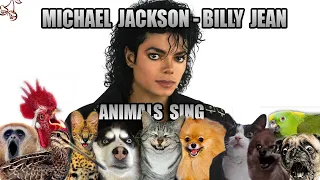 Michael Jackson - Billie Jean (Animal Cover)