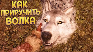 КАК ПРИРУЧИТЬ ВОЛКА ( Far Cry Primal )