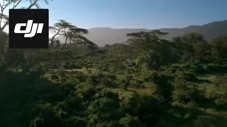 DJI Stories - Capturing Africa’s Garden of Eden