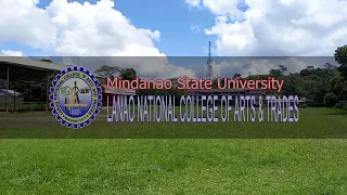 THE MSU-LNCAT