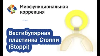 Логопед Томилина Светлана. Вестибулярная силиконовая ортодонтическая пластинка Стоппи (Stoppi)