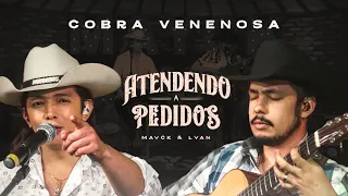 Mayck e Lyan - Cobra Venenosa #AtendendoAPedidos