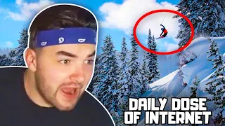 KingWoolz Reacts to DAILY DOSE OF INTERNET!! (WILD CLIPS)