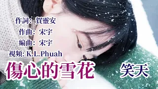 🎼 ❄[ 傷心的雪花 ]❄ 🎼  演唱 : 笑天