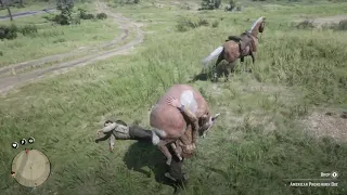 Red Dead Redemption 2's Funniest Moment - "Lord have mercy"