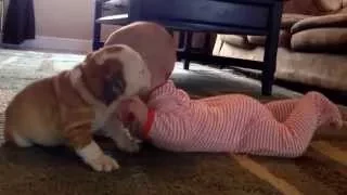 Cute Babies Love Funny Dogs Compilation 2014 [NEW HD]