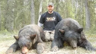 7 Foot Black Bear Bow Kill!