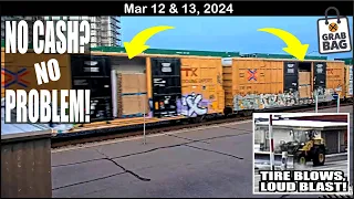 DOORS OPEN ON FREIGHT BOXCARS! LARGE TIRE BLOWS, SHAKES CAMERA, 4 DARWINS, CAT ON A RAIL & MORE