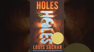 Holes Plot Overview Summary