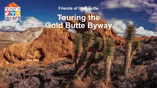 Touring the Gold Butte Byway