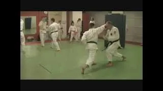 Kimura Shukokai karate:Power, speed & versatility training. 空手 -demo Oulun Shukokai, Finland.