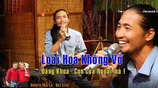 Loài Hoa Không Vỡ | Đăng Khoa chỉ là giao lưu thôi Bolero Mái Lá hát live