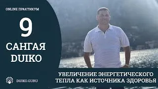 САНГАЯ 9 Андрея Дуйко - Увеличение энергетического тепла как источника здоровья Отрывок практикума