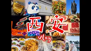 西安Vlog|春节城墙灯会激推必打卡|臊子面米皮擀面皮肉夹馍烤馕一个不能少|长安十二时辰好吃好逛|兵马俑|长恨歌值得一看| 意外发现美味涮牛羊肉和烤面筋裹饼