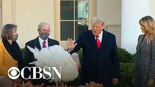 Trump pardons Thanksgiving turkey