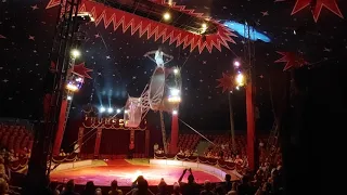 Cirkus Humberto