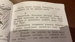 Чтение/2 кл/П.Дудочкин «Почему хорошо на свете»/27.04.21