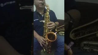 You're my heart, You're my soul By C &T Alto Sax