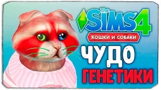 ЧУДО ГЕНЕТИКИ, ЕНОТИКИ - The Sims 4 "Кошки и Собаки"