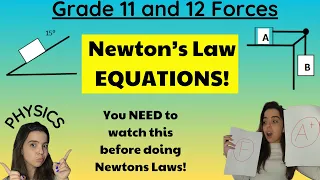 Newton's Laws grade 11 and 12: Watch this before doing calculations!