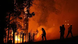 Man dies in bushfire on New South Wales north coast