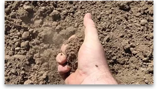 How to Turn Dirt into Soil