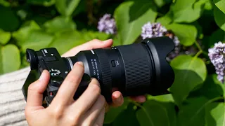 Tamron 16-300mm f/3.5-6.3 Di II VC PZD Macro review