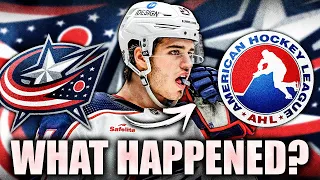 THE BIGGEST SOPHOMORE SLUMP IN YEARS? WHAT HAPPENED TO COLE SILLINGER? Columbus Blue Jackets News