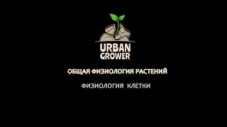 УРБАН ГРОВЕР УРОК 4.1 - О КЛЕТКЕ. Камушек и пузырек. Балет и дельтапланеристы.