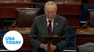 Schumer promises Senate vote on abortion rights after SCOTUS leak | USA TODAY