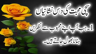 Sachi Mohabbat ki 13 Nishaniyan? || Top 13 True Signs Of Love Secrets In Urdu ||