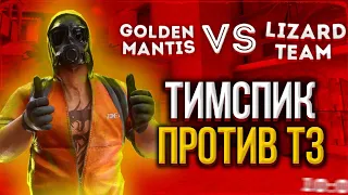 ВЫИГРАЛИ TEAM LIZARD?! ТИМСПИК GOLDEN MANTIS ПРОТИВ TEAM LIZARD. ТИМСПИК STANDOFF 2