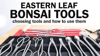 Basic Bonsai Tools for Beginners and How to Use Them : Eastern Leaf Brand
