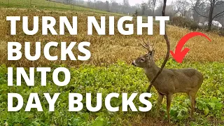 Turn Night Time Summer Bucks Into Day Time Fall Bucks