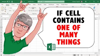 Excel: If Cell Contains ONE of MANY THINGS