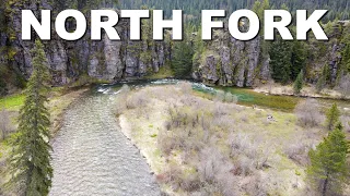 North Fork of the Coeur D'Alene River | Coeur D'Alene National Forest, Idaho