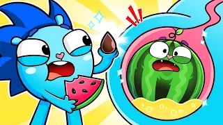 Watermelon Tummy Grows Up 🍉🙀 | Songs for kids 🎶| Toonaland