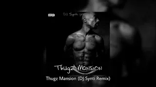 2Pac - Thugz Mansion (DJ Synti Remix)