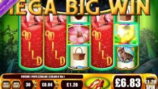 £1712.00 MEGA BIG WIN (1426 X STAKE) WIZARD OF OZ RUBY SLIPPERS ™ BIG WIN SLOTS AT JACKPOT PARTY