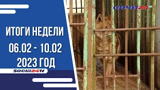 ИТОГИ НЕДЕЛИ Сочи 11.02.23 Г.