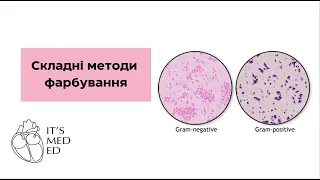 Мікробіологія. Складні методи фарбування.