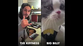 The Kiffness X Big Billy (Live Looping Talking Cat Remix)