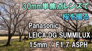 パナソニック LEICA DG SUMMILUX 15mm / F1.7 ASPHで桜を撮る